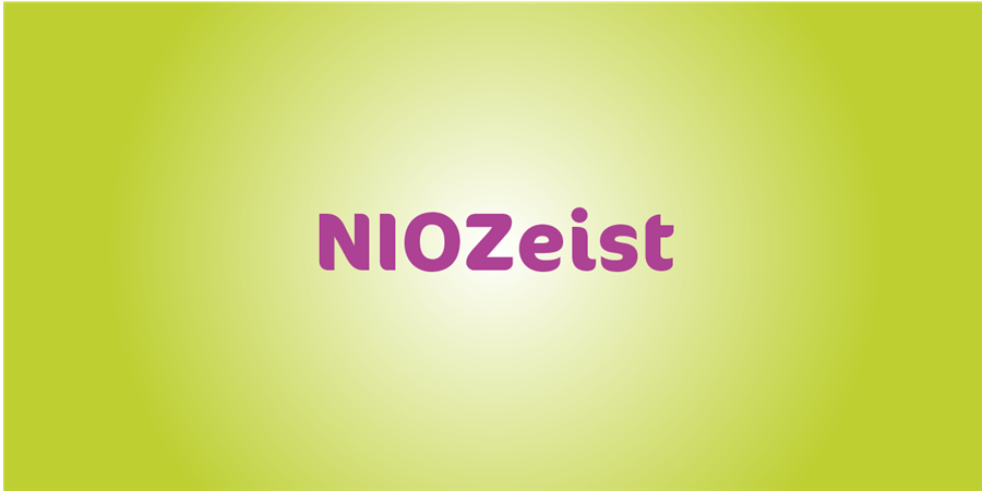 Bericht Netwerk Informele Ondersteuning Zeist (NIOZeist)  bekijken